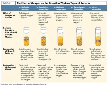 Table of oxygen requirements and growth patterns