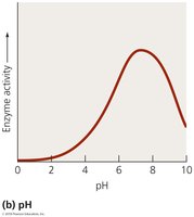 Graph showing effect of pH on enzyme activity