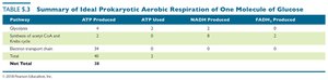 Table summarizing ideal prokaryotic aerobic respiration of one glucose molecule
