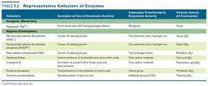 Table of representative cofactors of enzymes