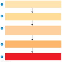 Sequence of events in a typical outbreak of staphylococcal food poisoning