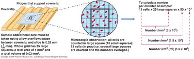 Microscopic counting of cells
