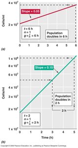 Growth curve and parameters