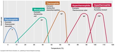 Temperature ranges for microbial growth