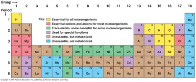 Periodic table showing essential elements for microorganisms