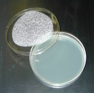 Agar plate for microbial culture