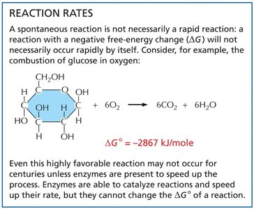 Activation energy: uncatalyzed vs. enzyme-catalyzed reaction