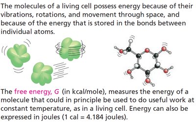 Free energy in molecules