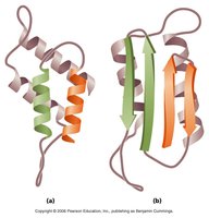 Protein structure comparison, relevant to prion biology