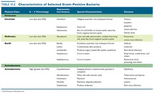 Table of Gram-positive bacteria characteristics