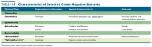 Table of Gram-negative bacteria characteristics