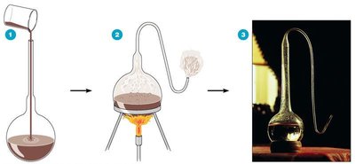 Pasteur's swan-neck flask experiment