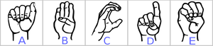 Cell characteristic matching activity