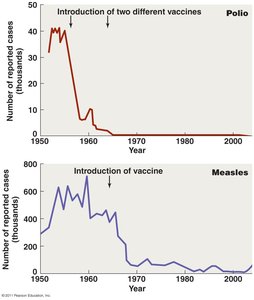 Graph showing reduction in polio and measles cases after vaccine introduction