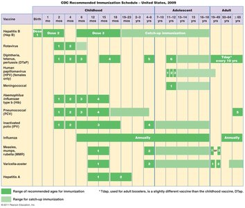 CDC recommended immunization schedule