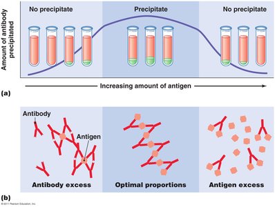 Precipitation reaction characteristics