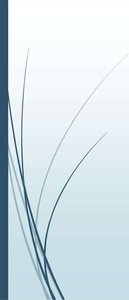 Vertical and horizontal gene transfer in bacteria
