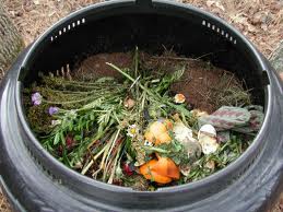 Compost pile for saccharophiles