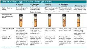 Table of oxygen effects on bacterial growth