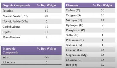 Table of organic and inorganic compounds and elements in microbial cells