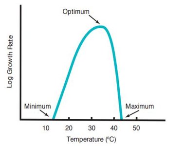 Growth rate vs temperature