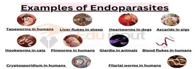 Examples of endoparasites