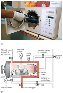 Autoclave