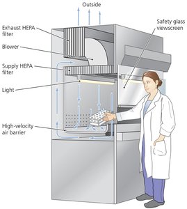 Laminar flow biological safety cabinet