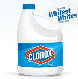 Clorox bleach (chlorine)