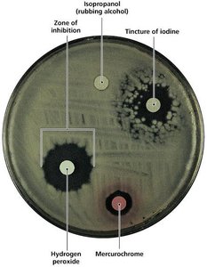 Disk-diffusion method