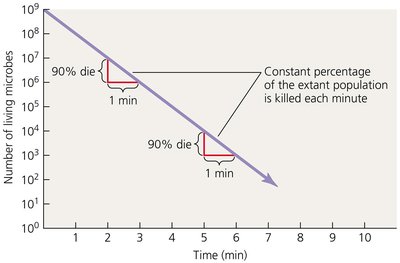 Microbial death curve