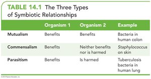 Table of symbiotic relationships