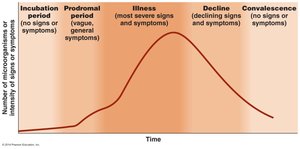 Graph of stages of infectious disease