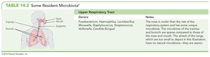 Resident microbiota of the upper respiratory tract