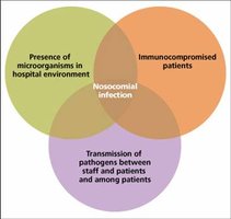 Venn diagram of nosocomial infection factors