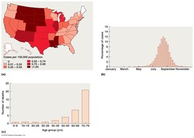 Epidemiological data visualization