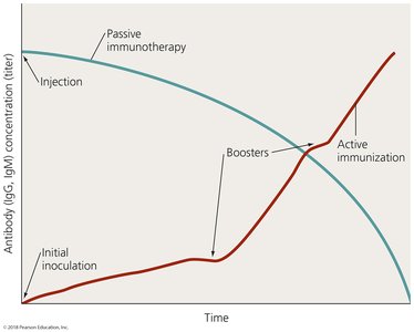Graph comparing active immunization and passive immunotherapy antibody levels over time