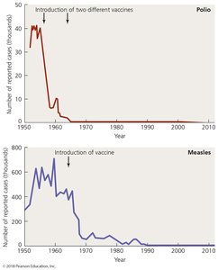 Graph showing reduction in polio and measles cases after vaccine introduction