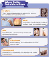 Where Babies Get a Microbiome infographic