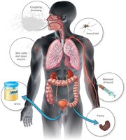 Major Portals of Exit of Infectious Diseases