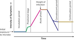 Stages in the Course of Infection and Disease