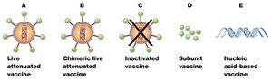 Types of vaccines: live attenuated, chimeric, inactivated, subunit, nucleic acid-based