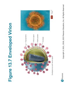 Table 13.1: The Novel Properties of Viruses