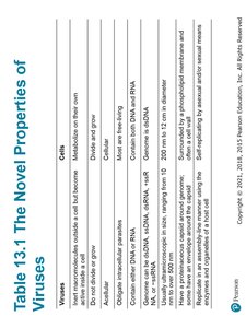 Families of human DNA viruses