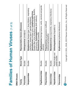 Families of human RNA viruses (part 2)