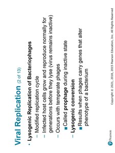 Temperate bacteriophage replication