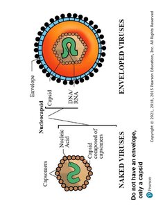 Diagram of enveloped and naked viruses