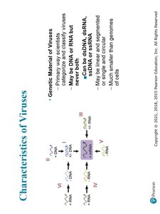 Types of viral genetic material
