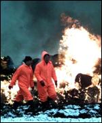 Incineration of carcasses
