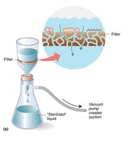 Filtration apparatus
